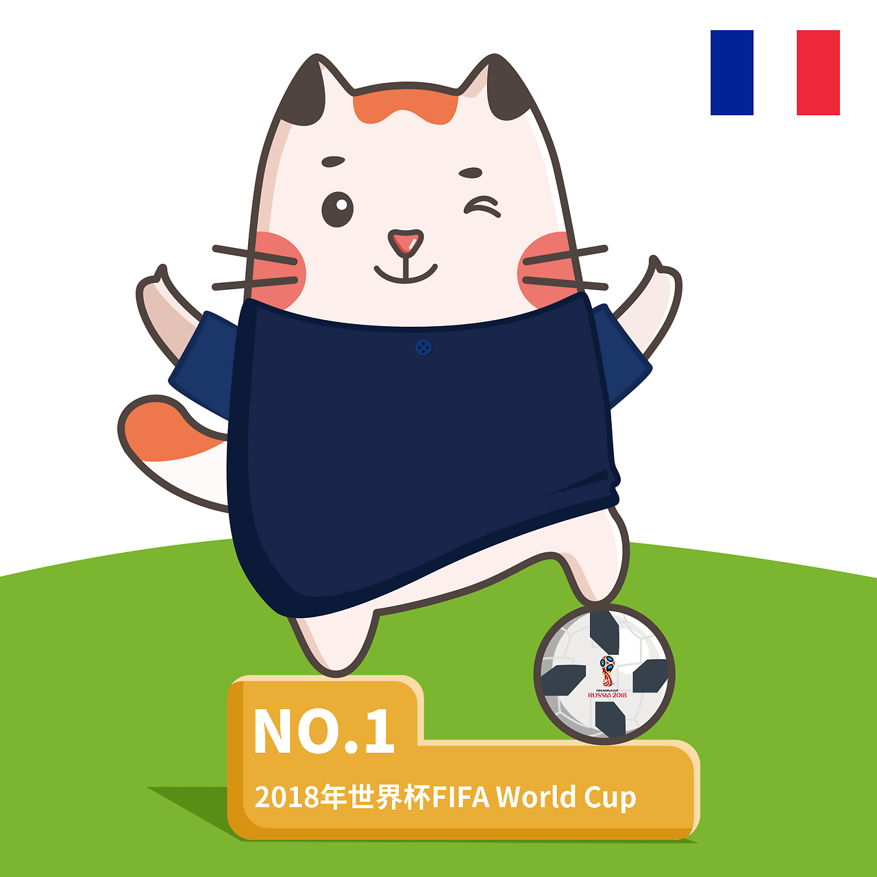 新掌舵人